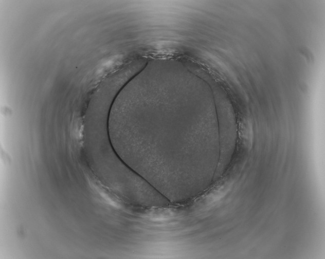 X0000090720818200708101551