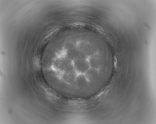 X0000090720819200708101551