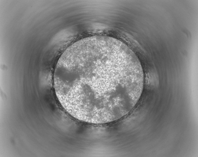 X0000090720820200708101551