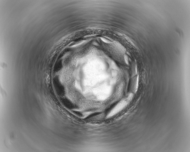 X0000090720821200708101551