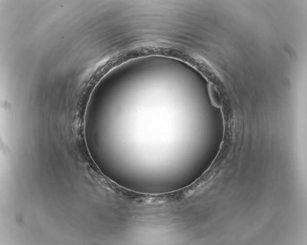 X0000090720822200708101551