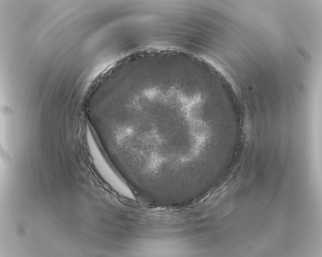 X0000090720823200708101551