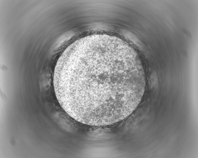 X0000090720824200708101551