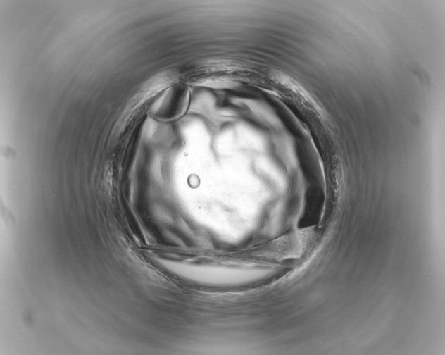 X0000090720825200708101551