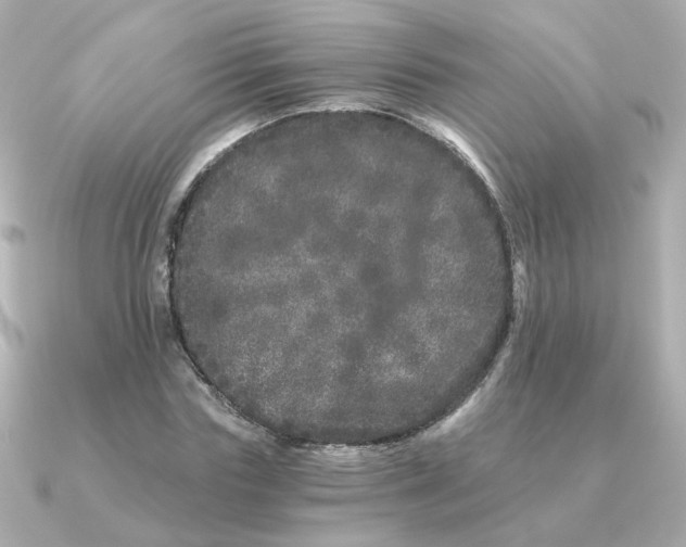 X0000090720827200708101551