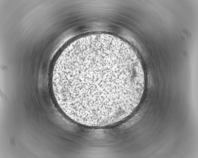 X0000090720828200708101551