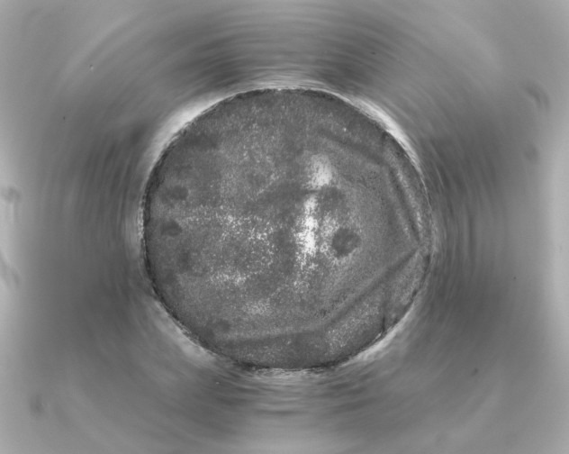 X0000090720831200708101551