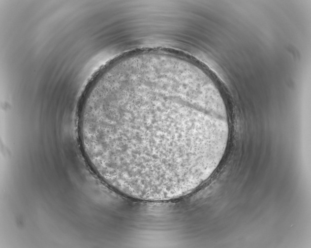 X0000090720832200708101551