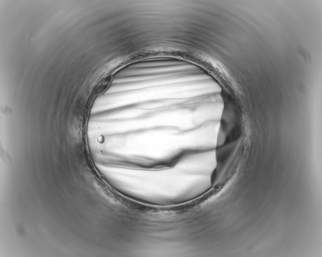 X0000090720833200708101551