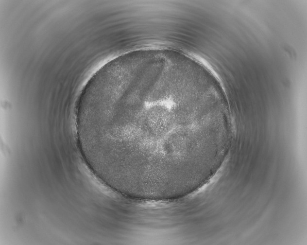 X0000090720835200708101551