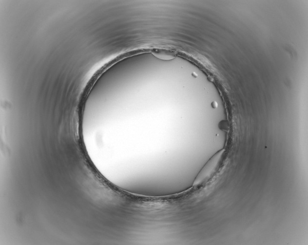 X0000090720838200708101551