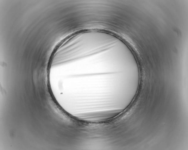 X0000090720840200708101551