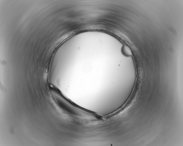 X0000090720841200708101551