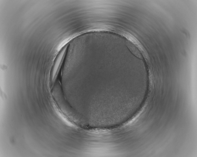 X0000090720842200708101551