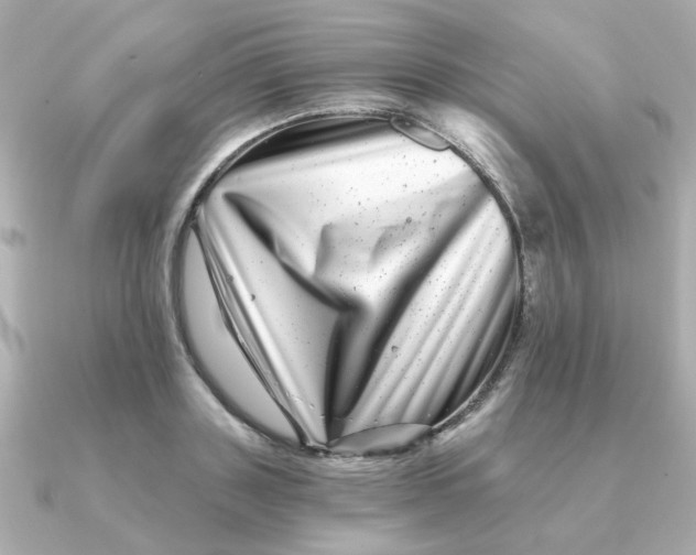 X0000090720843200708101552