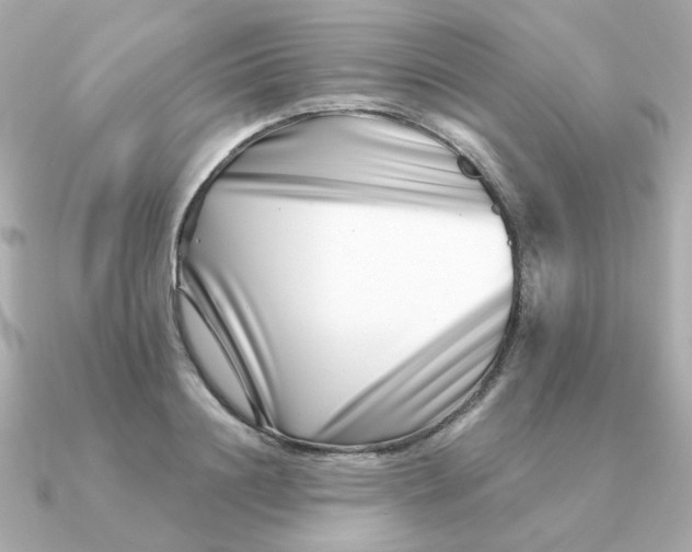 X0000090720844200708101552