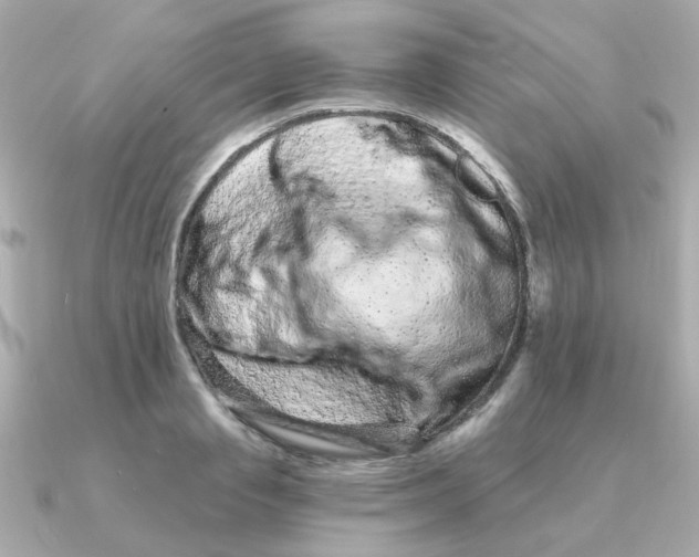 X0000090720845200708101552