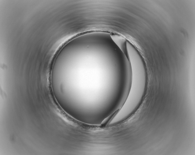 X0000090720846200708101552