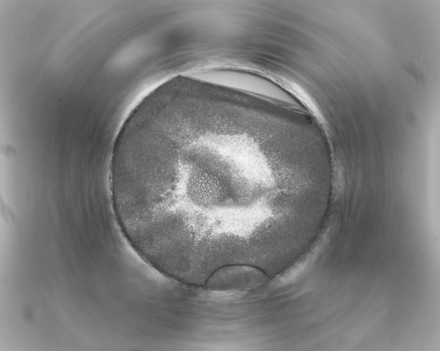 X0000090720847200708101552