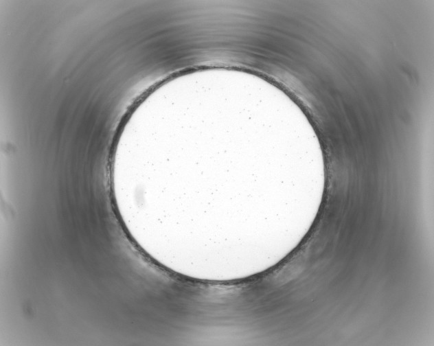 X0000090720848200708101552