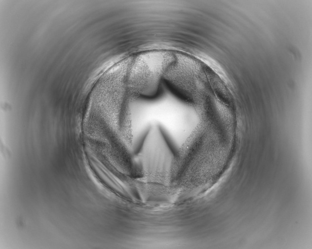 X0000090720849200708101552