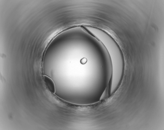 X0000090720850200708101552