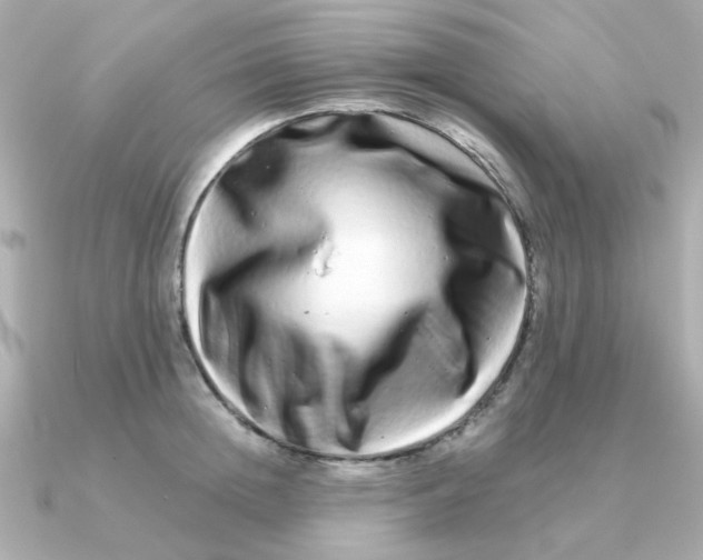 X0000090720852200708101552