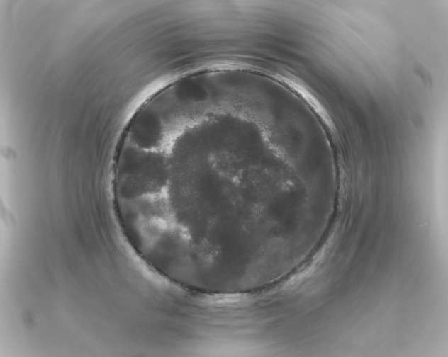 X0000090720853200708101552