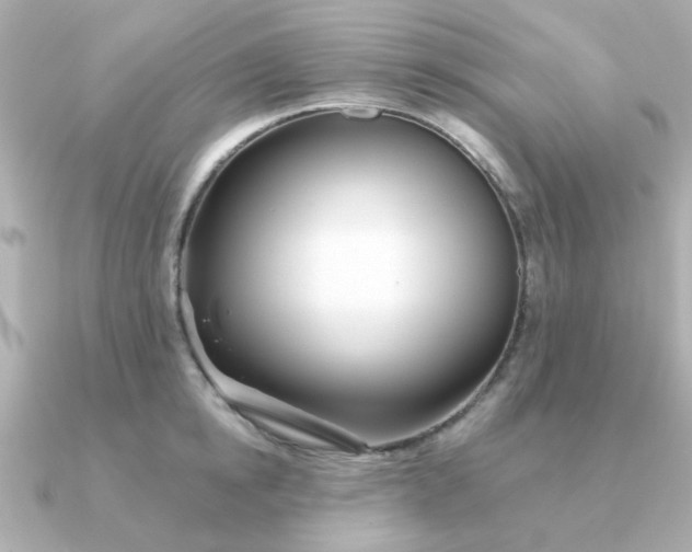 X0000090720854200708101552