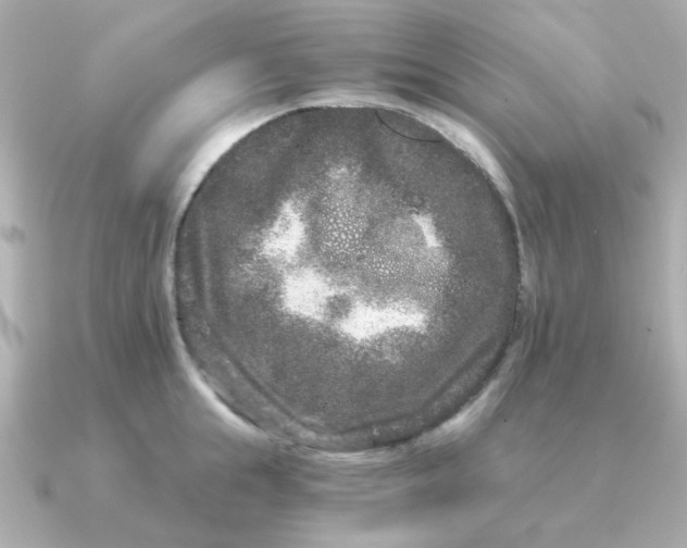 X0000090720855200708101552