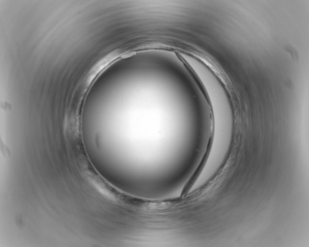 X0000090720858200708101552