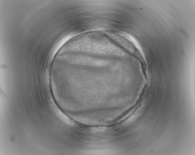 X0000090720859200708101552