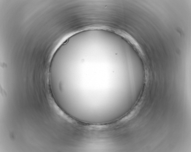 X0000090720860200708101552