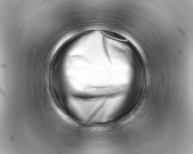 X0000090720861200708101552