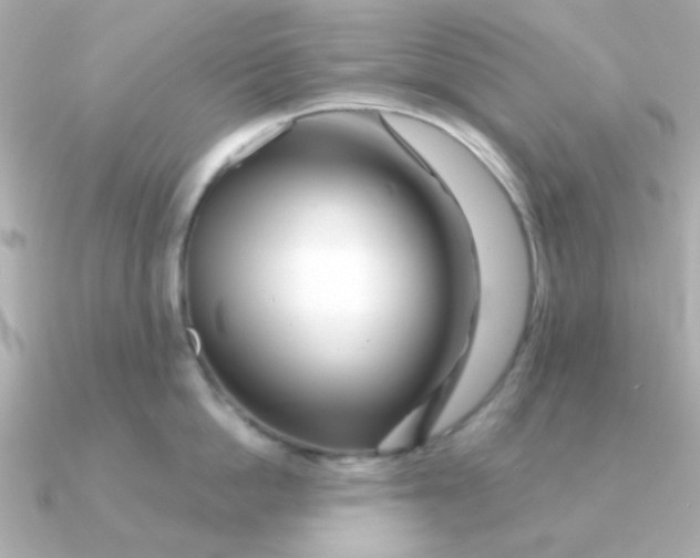 X0000090720862200708101552