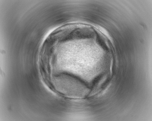 X0000090720863200708101552