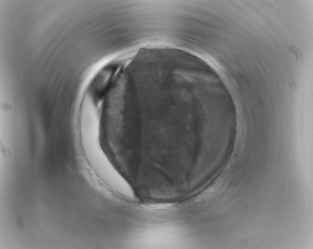 X0000090720864200708101552