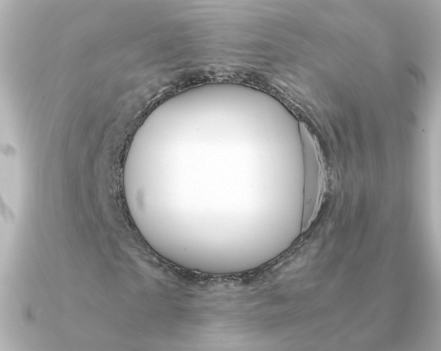 X0000090720865200708101551