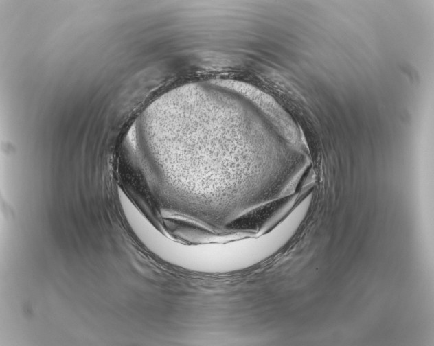 X0000090720868200708101551