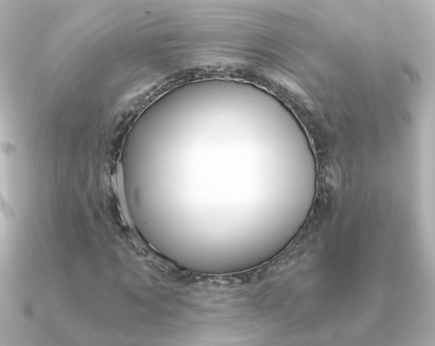 X0000090720869200708101551