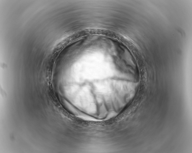 X0000090720870200708101551