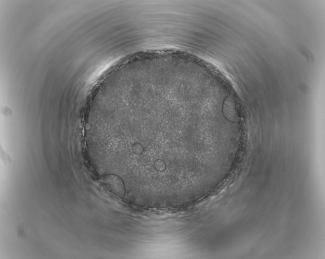 X0000090720871200708101551