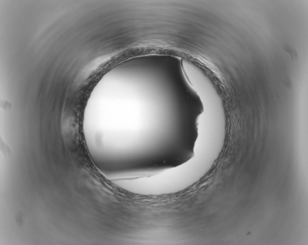 X0000090720872200708101551