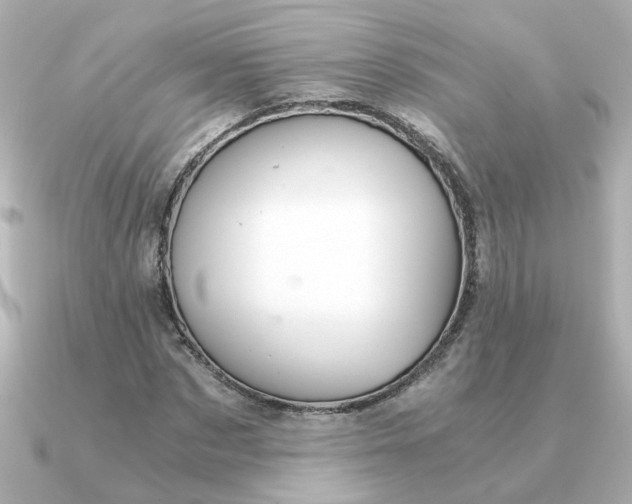 X0000090720873200708101551