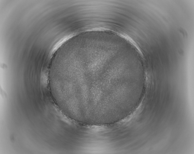 X0000090720874200708101551