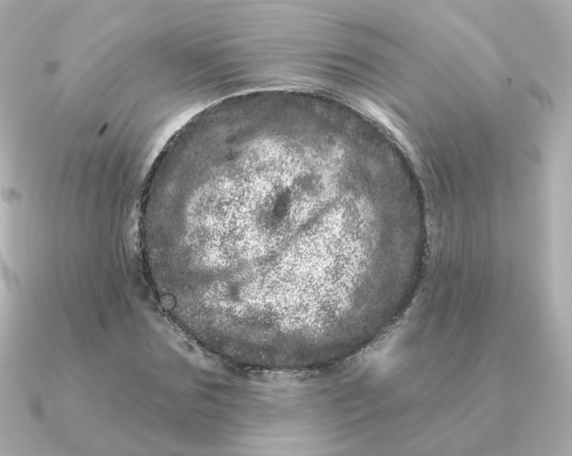 X0000090720875200708101551