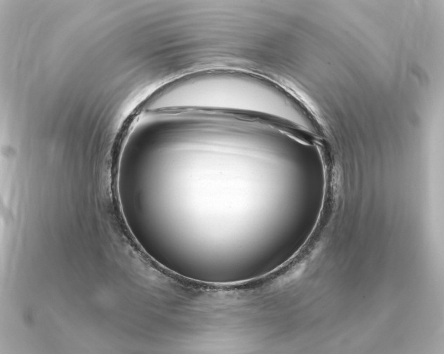 X0000090720877200708101551