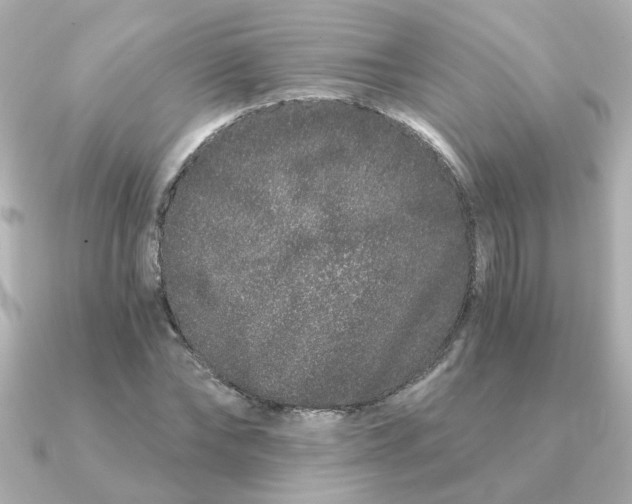 X0000090720878200708101551