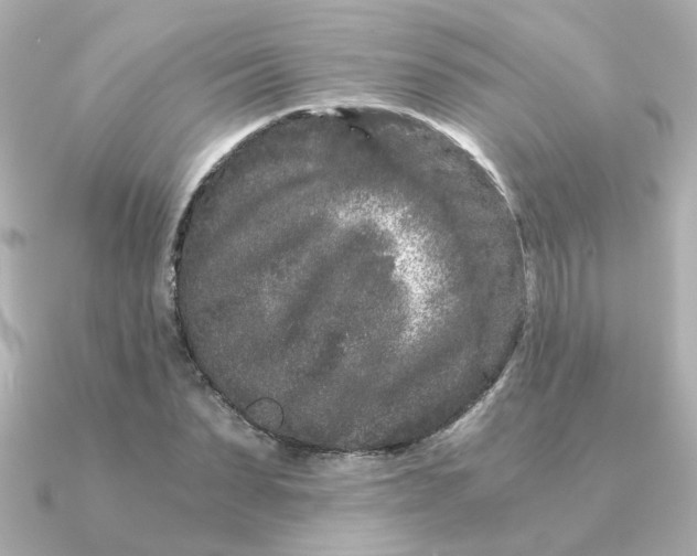 X0000090720879200708101551