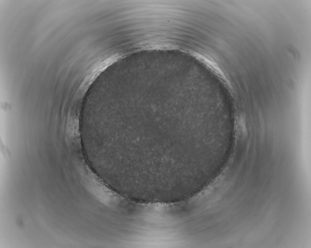 X0000090720881200708101551